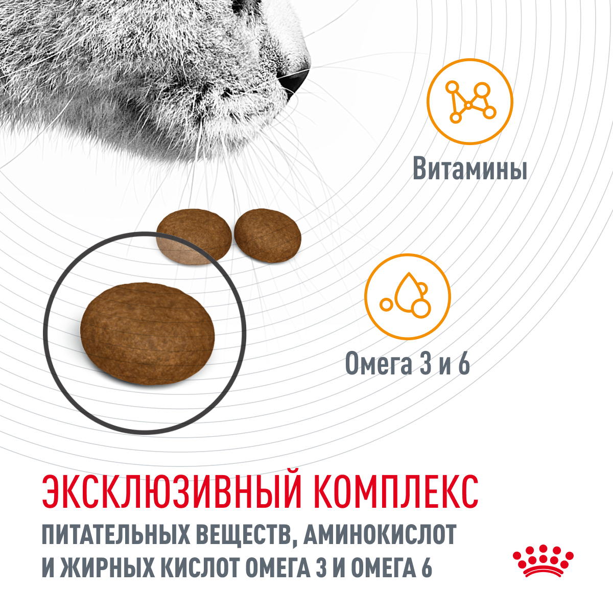 Корм для кошек ROYAL CANIN - фото №6