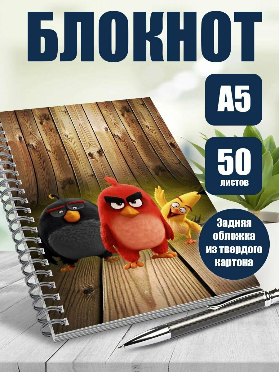 Тетрадь в клетку 50 листов А5 Angry Birds