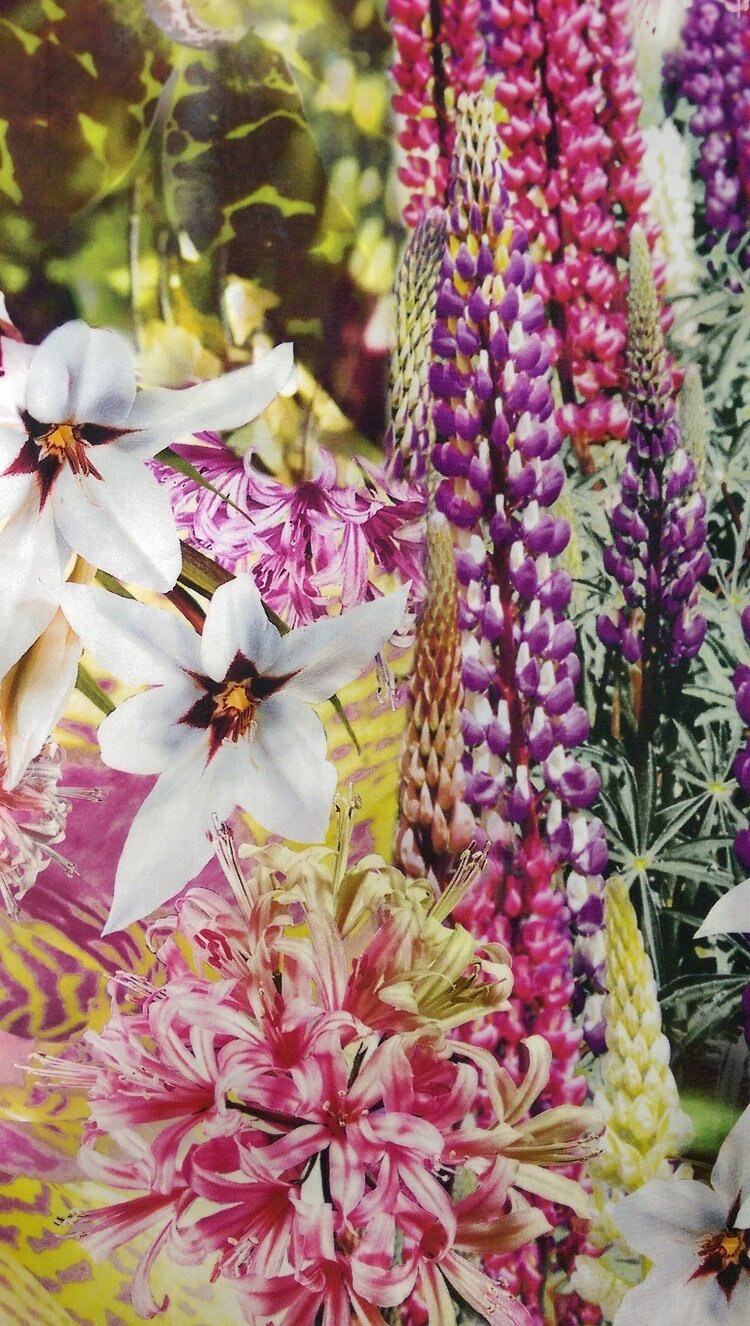 Ткань Хлопок-сатин с ярким цветочным принтом Италия