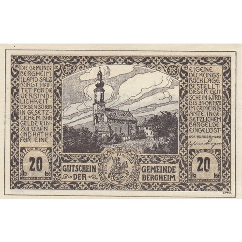 Австрия, Бергхайм 20 геллеров 1914-1920 гг. (№1) (2)