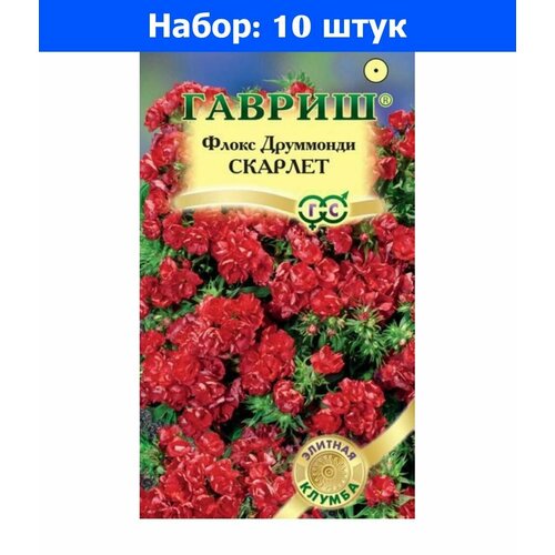 Флокс Скарлет друммонда 8шт Одн 20см (Гавриш) Элитная клумба - 10 пачек семян лобулярия кристалл пурпурный 15шт одн 25см гавриш элитная клумба 10 пачек семян