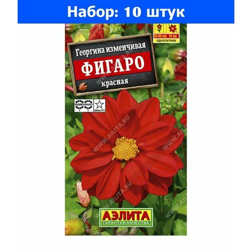 Георгина Фигаро Красная изменчивая 7шт Одн 45см (Аэлита) - 10 пачек семян
