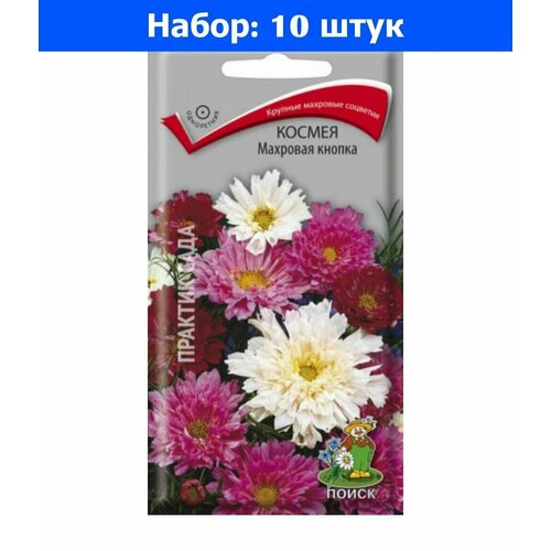 Космея Махровая кнопка 0,1г Одн 80см (Поиск) - 10 пачек семян космея золотая свадьба 10шт одн 60см поиск 10 пачек семян