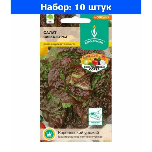 Салат Сивка-бурка листовой 0,5г Ср (Евро-сем) - 10 пачек семян