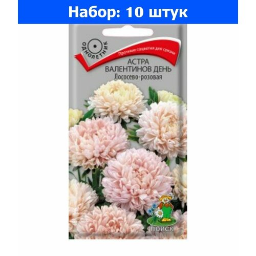 Астра Валентинов День Лососево-розовая пиновид 0,2г Одн 60см (Поиск) - 10 пачек семян
