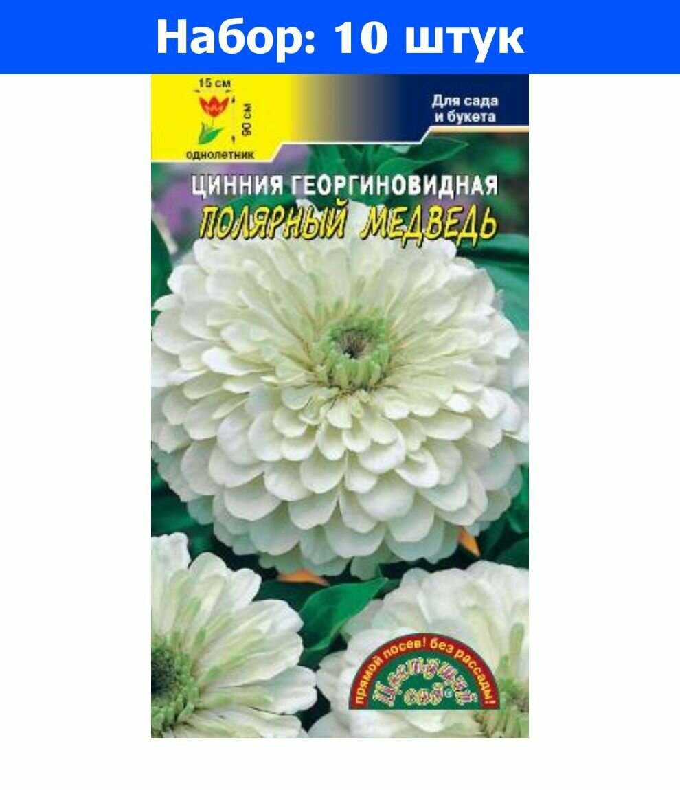 Цинния Полярный медведь георгиновидная 0.3г Одн 90см (Цвет сад) - 10 пачек семян