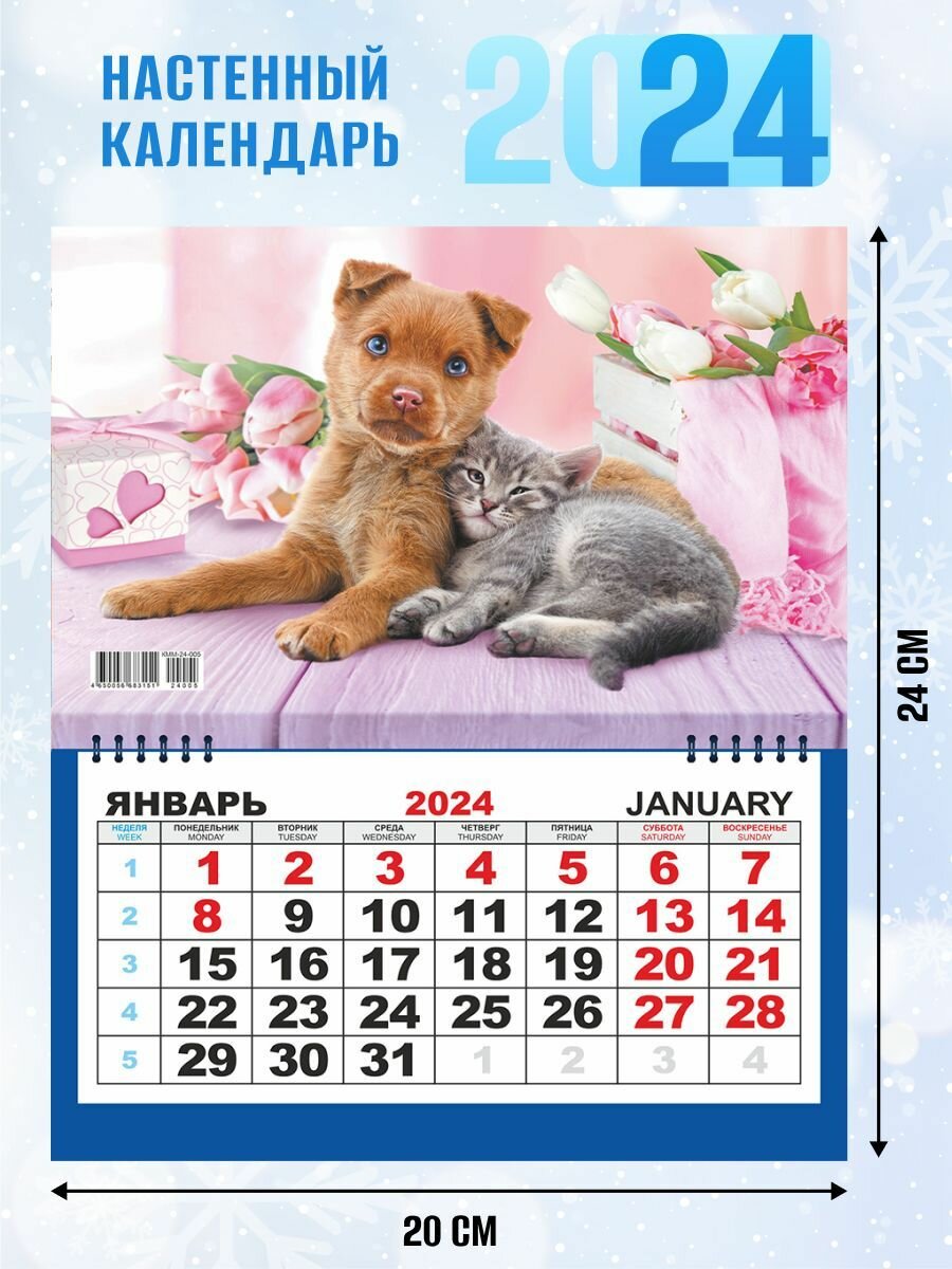 Настенный календарь на 2024 г. "Сладкая парочка"