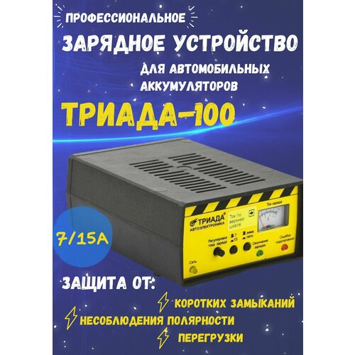 Профессиональное зарядное устройство для аккумулятора ТРИАДА-100