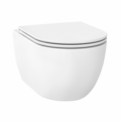 Подвесной унитаз Wellsee Chalice Perfection RimFree 182608001 чаша безободкового унитаза с быстросъемным сиденьем микролифт цвет матовый белый 34030₽