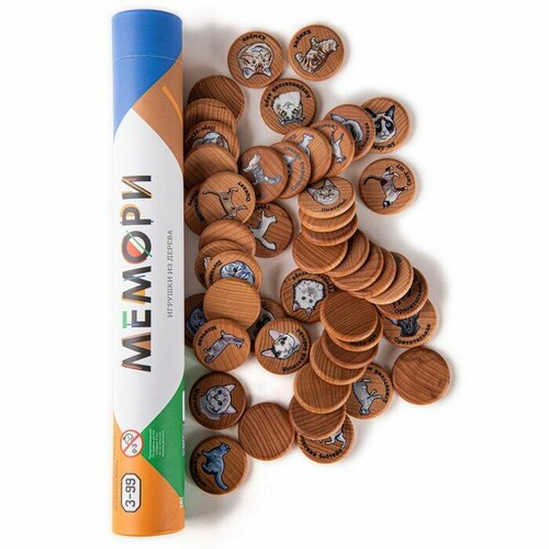 ZARTOY Мемори «Кошки», в тубусе, 48 фишек