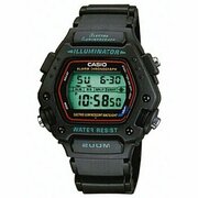 Наручные часы CASIO Collection DW-290-1V