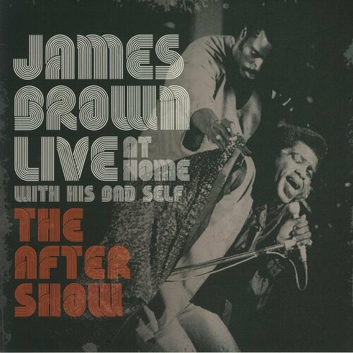 Brown James Виниловая пластинка Brown James Live At Home With His Bad Self (The After Show) at home with the heelers