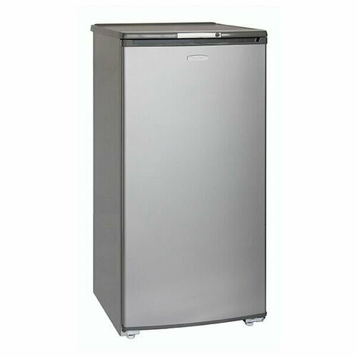 Холодильник Бирюса M10 2274900₽