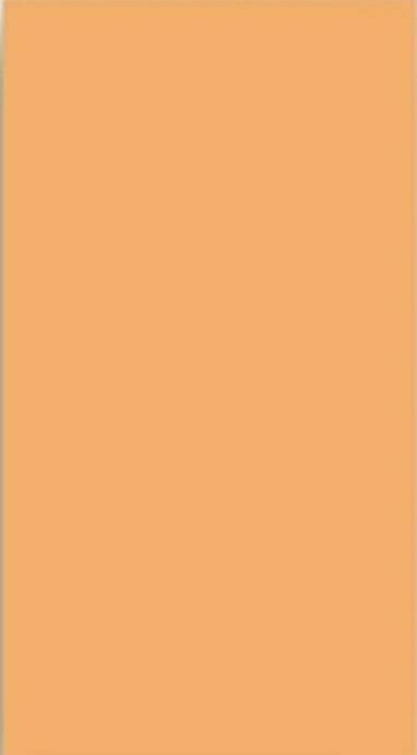 Керабел Зоопарк оранжевая плитка стеновая 200х400х7,5мм (16шт) (1,28 кв. м.) / KERABEL Зоопарк оранжевая плитка керамическая 400х200х7,5мм (упак. 16шт.