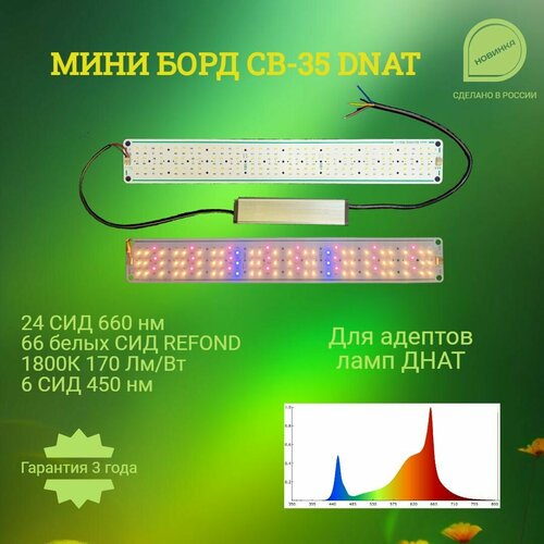 Мини квантум борд MB35 DNAT