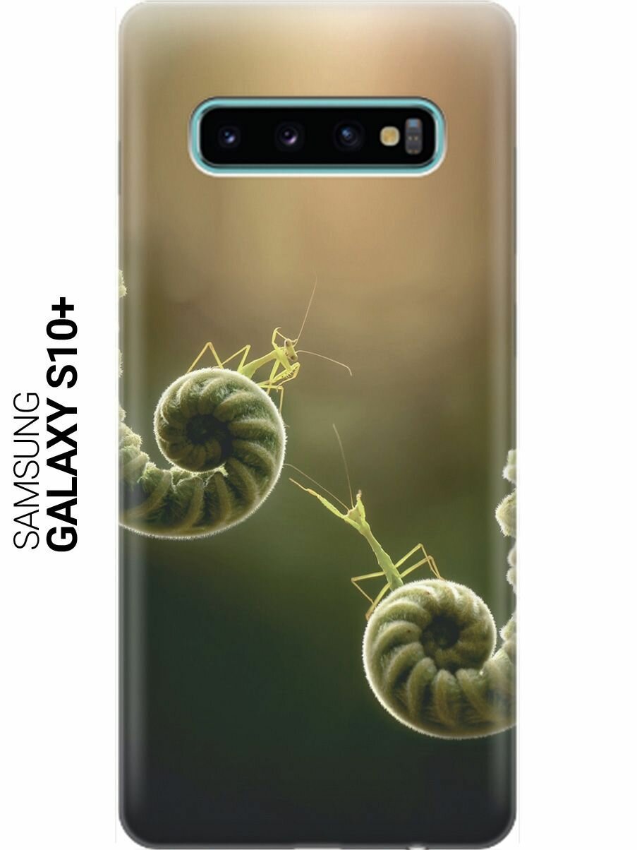 Ультратонкий силиконовый чехол-накладка для Samsung Galaxy S10+ с принтом "Пара богомолов"