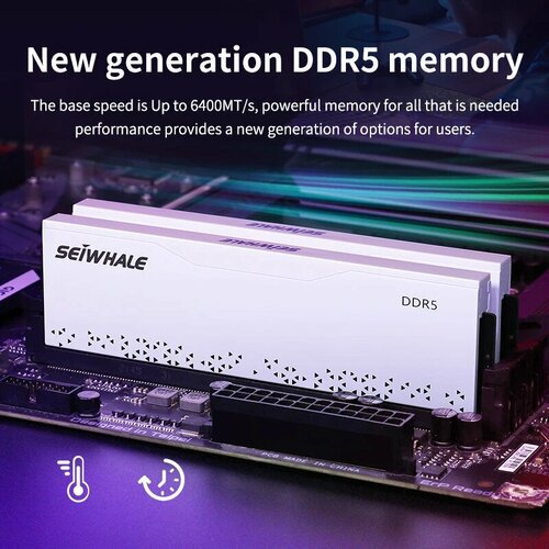 Оперативная память SEIWHALE DDR5, 8/16/5600 МГц, DDR5 6000