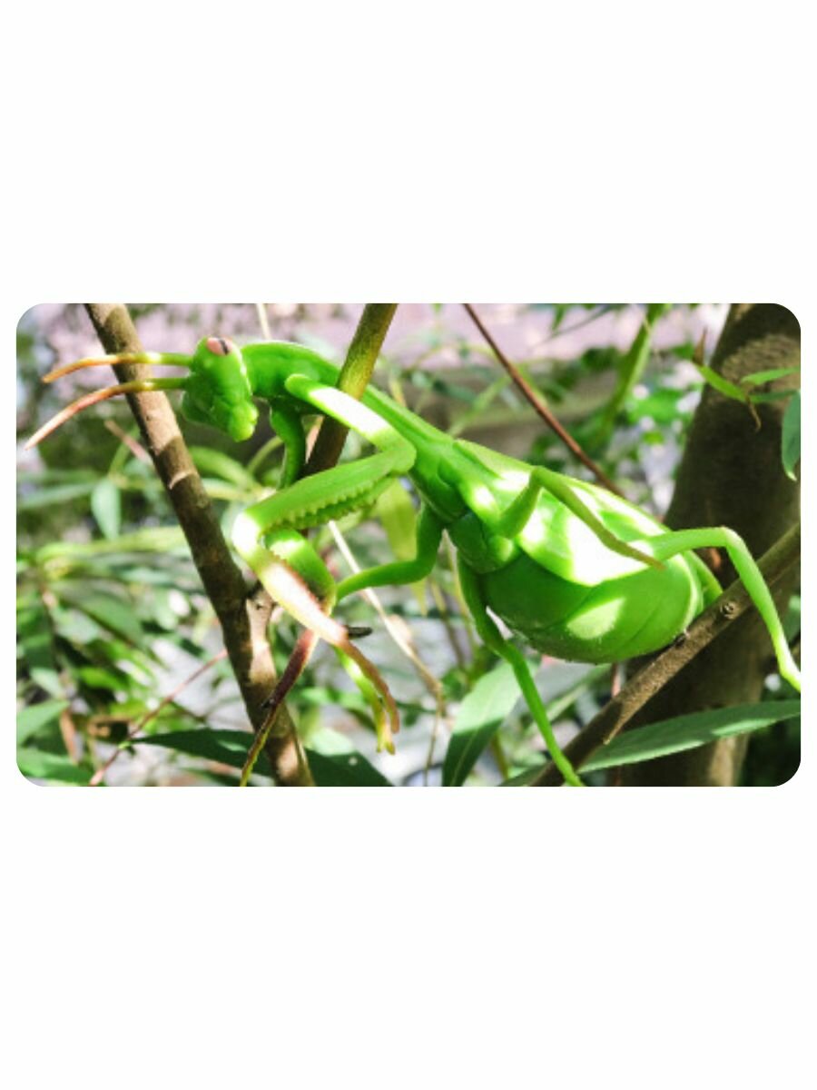 Игрушка тянучка Богомол / Тянучка антистресс — фото 1