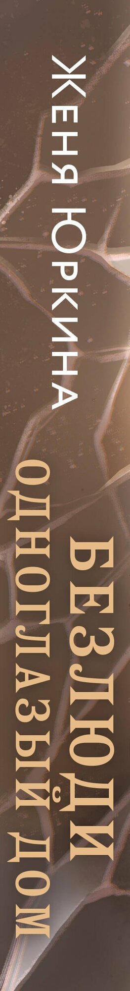 Безлюди. Одноглазый дом — фото 1