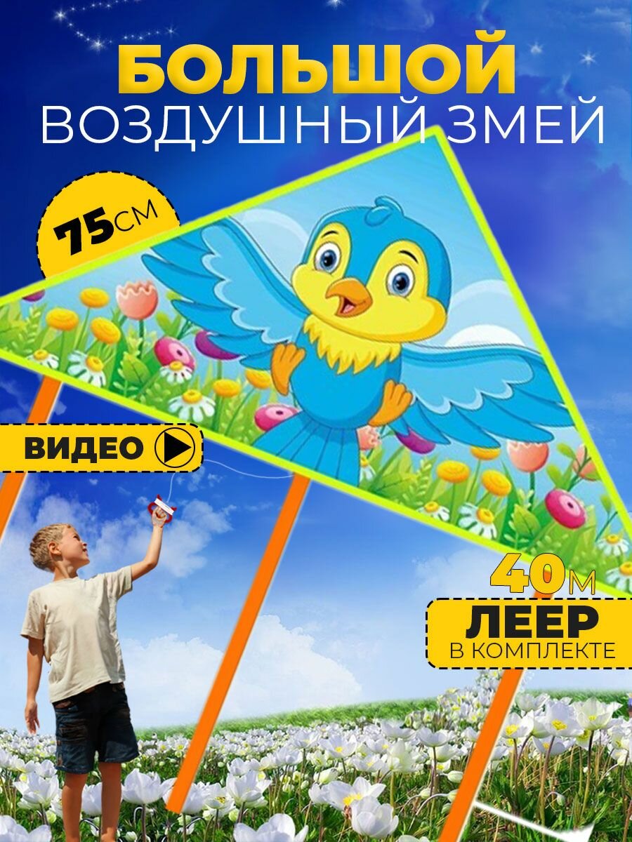 Воздушный Змей для ребенка большой