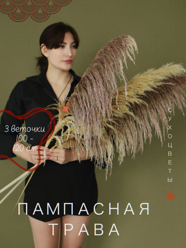 Изображение товара Сухоцветы LampasPampas "Пампасная Трава", 100см, бежевые, 3 шт