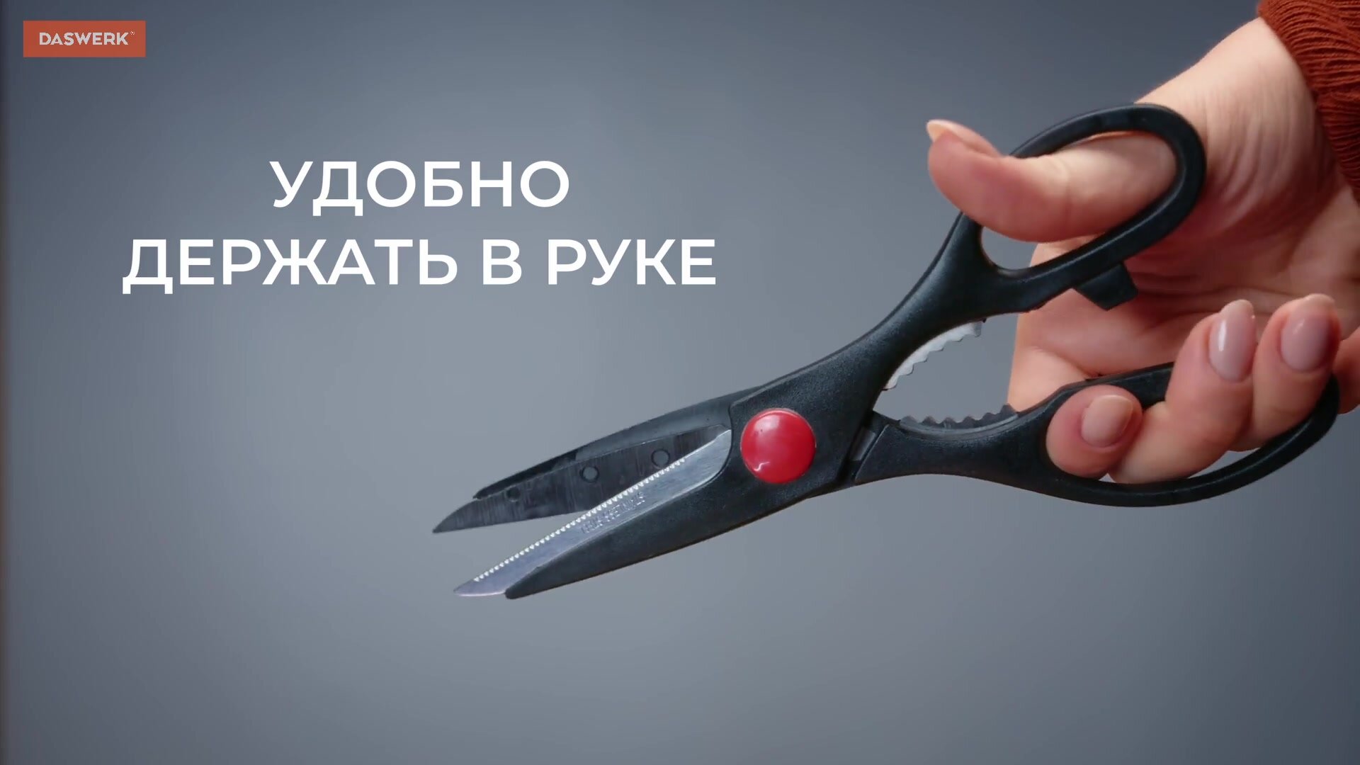 Ножницы кухонные универсальные 210 мм для рыбы, курицы и зелени нержавеющие, зазубренные лезвия, с орехоколом, инвентарь для дома и кухни, Daswerk (Дасверк), 608905 — фото 1