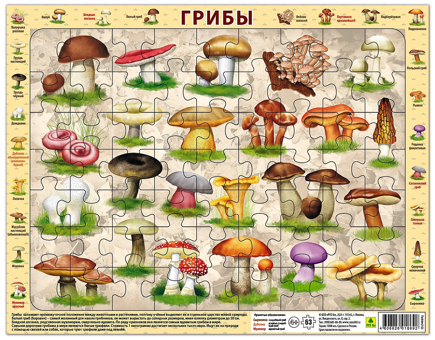 Грибы. Детский пазл на подложке(36х28 см, 63 эл.)