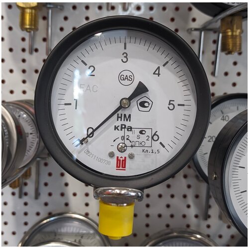 НМ-100-6кПа, кл. т.1,5, М20х1,5 манометр газовый, низкого давления. Поверка III кв. 2023г.