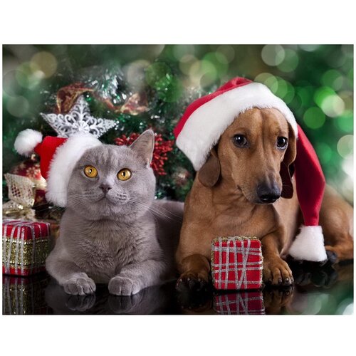 Набор для творчества Рыжий кот Алмазная мозаика Новогодние домашние питомцы блестящая, с подрамником, с полным заполнением 40*50
