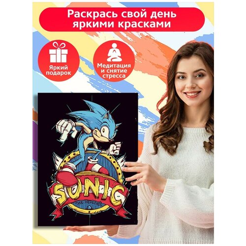 Картина по номерам Игра Sonic (соник, ёж) - 8057 В 30x40 картина по номерам на холсте игра sonic forces 9665 в 30x40