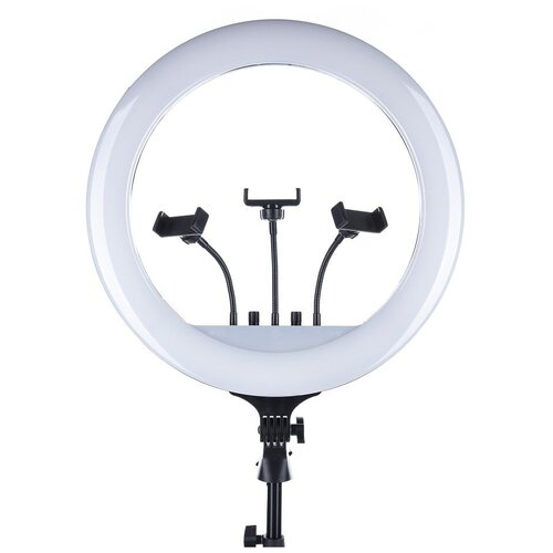 Профессиональная кольцевая лампа RL-18 диаметром 45 см С ДУ пультом управления с металлическим усиленным штативом 50-180 см 610000₽