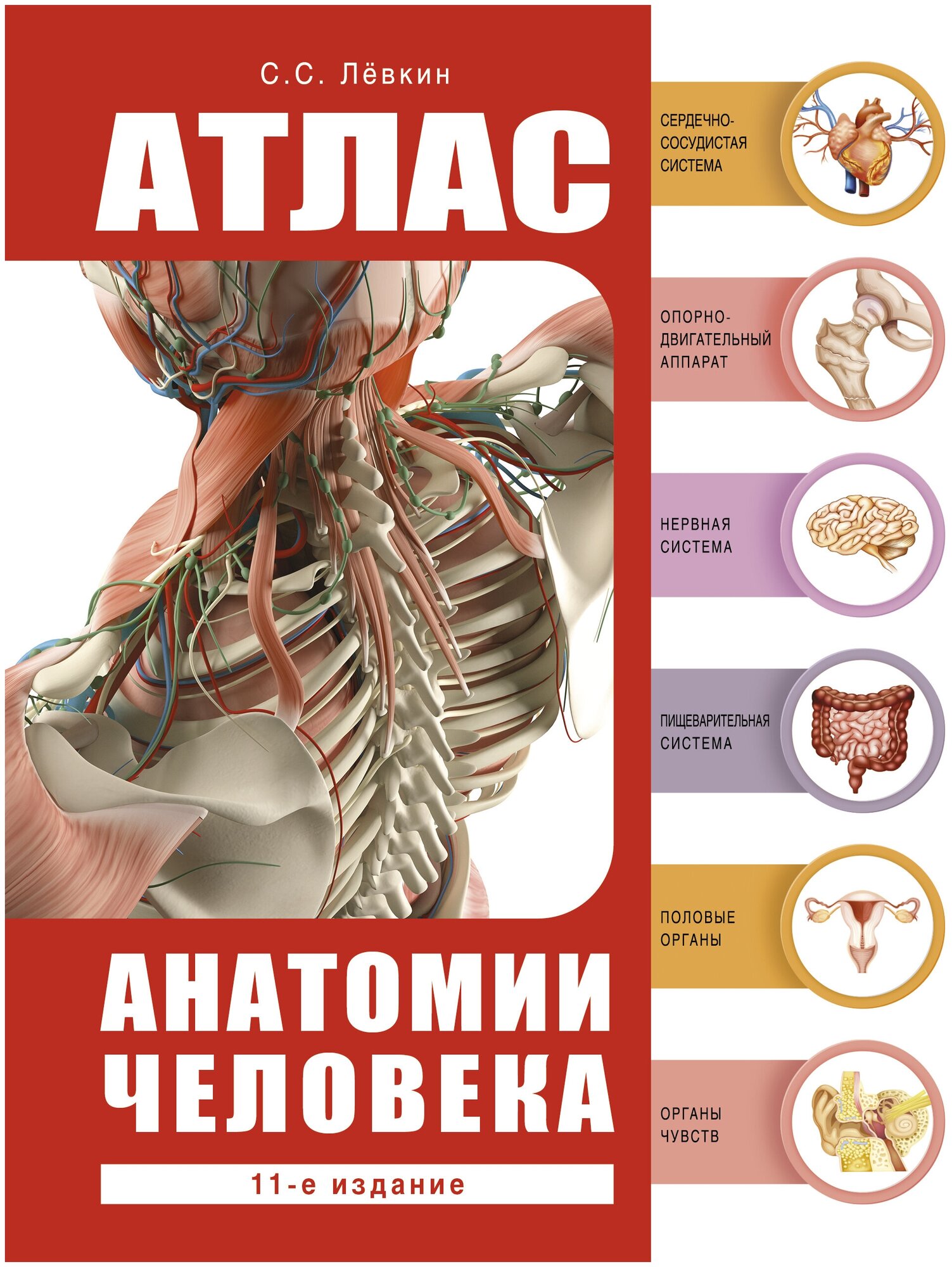 Атлас анатомии человека 11 издание Пособие Левкин СС16+