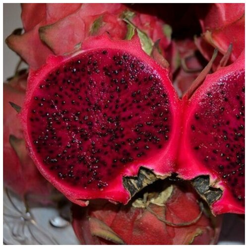 Питахайя (красной дракон), семена 25 шт. мялка сквиши питайя драконий фрукт