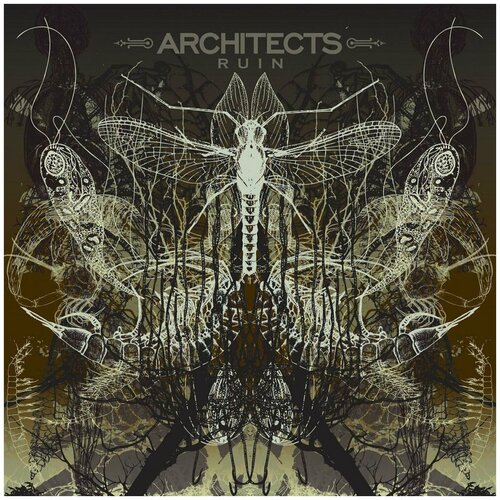 Виниловая пластинка Architects. Ruin (LP)