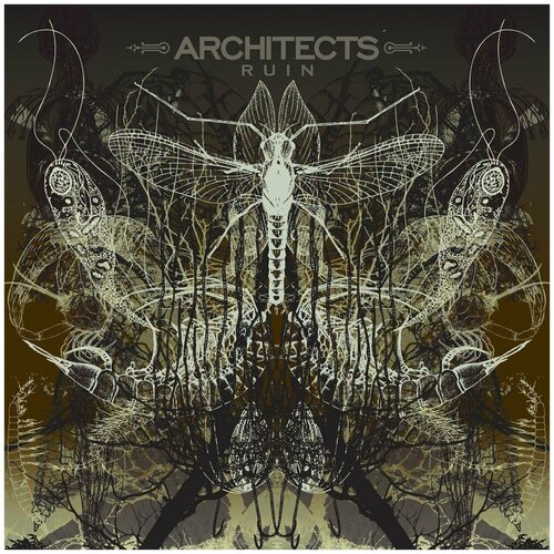 Виниловая пластинка Architects. Ruin (LP) виниловая пластинка architects ruin lp