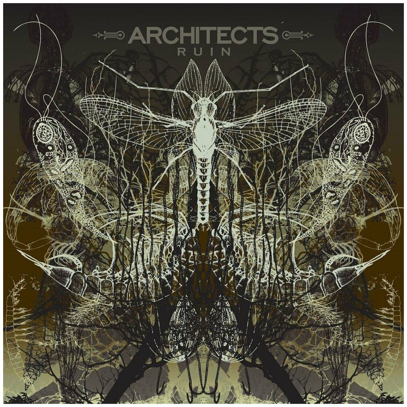 Architects Architects - Ruin (reissue) Мистерия звука - фото №1