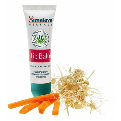 Бальзам для губ марки Гималая (Lip balm Himalaya) бальзам для губ himalaya herbals питательный 4 5 г