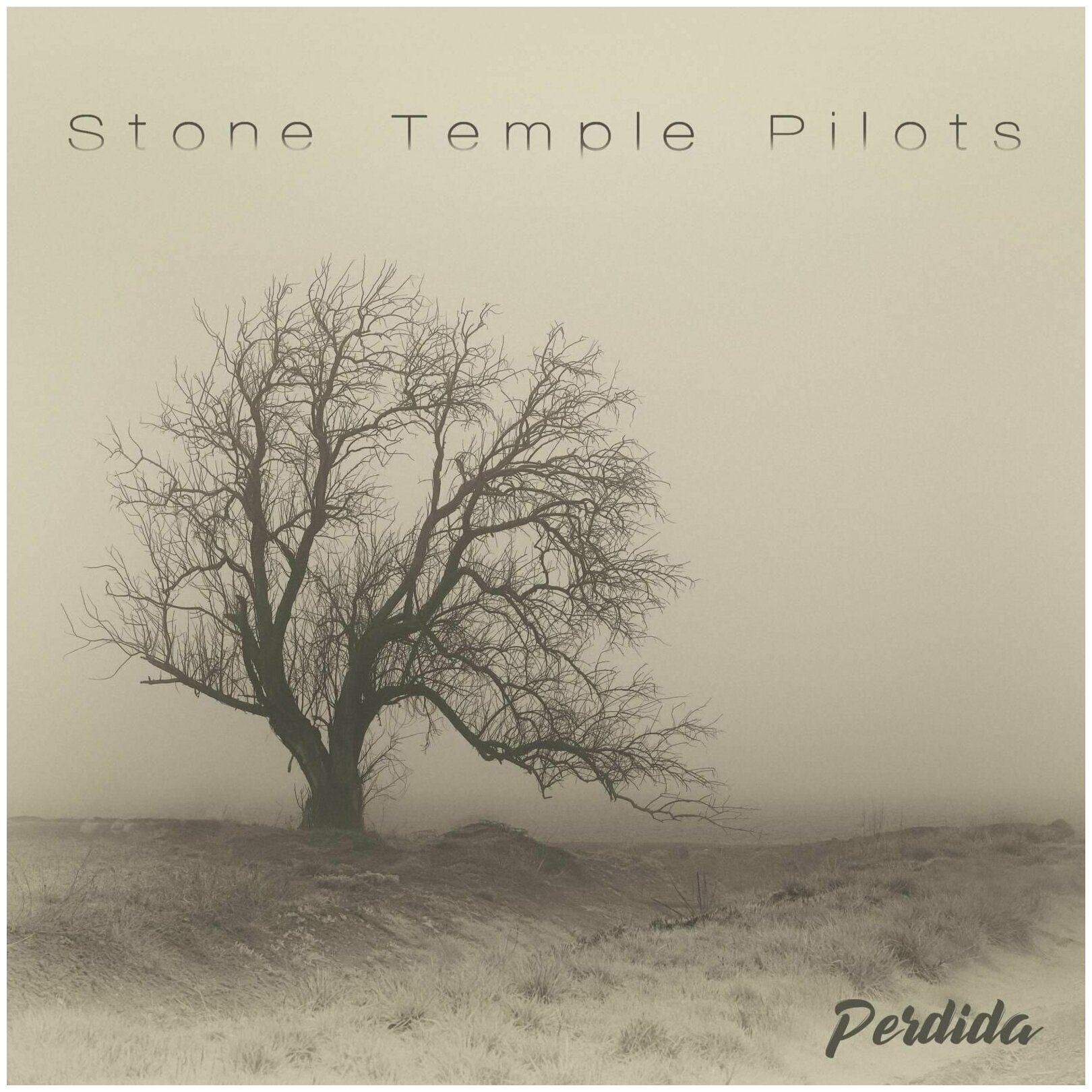 Stone Temple Pilots Stone Temple Pilots - Perdida Warner Music - фото №1