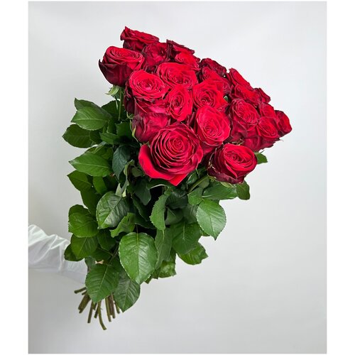Роза красная Ред Наоми 25 шт 60 см