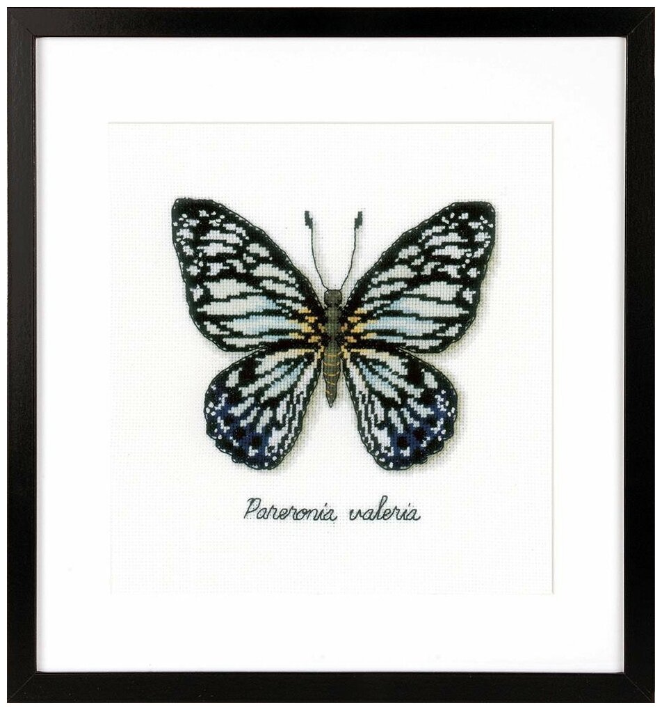 Голубая бабочка PN-0165403