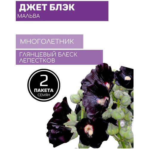 Цветы Мальва Джет Блэк 2 пакета по 0,2г семян цветы мальва гирлянда смесь 2 пакета по 0 2г семян