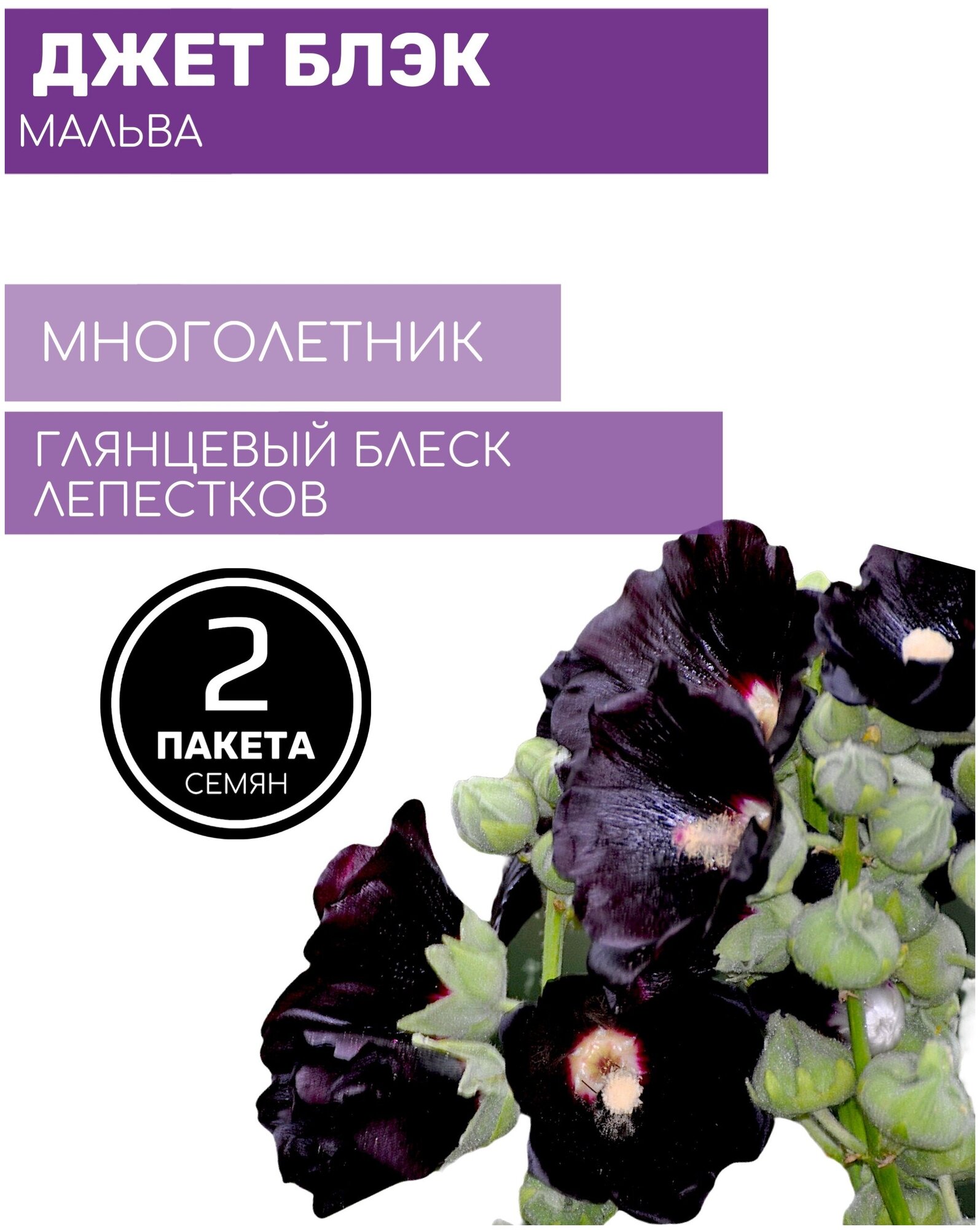 Цветы Мальва Джет Блэк 2 пакета по 02г семян