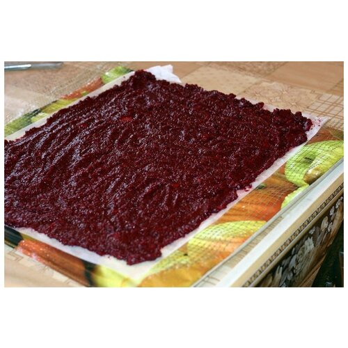 Домашняя овощная электро сушилка коврик для пастилы Самобранка 50x75 259000₽