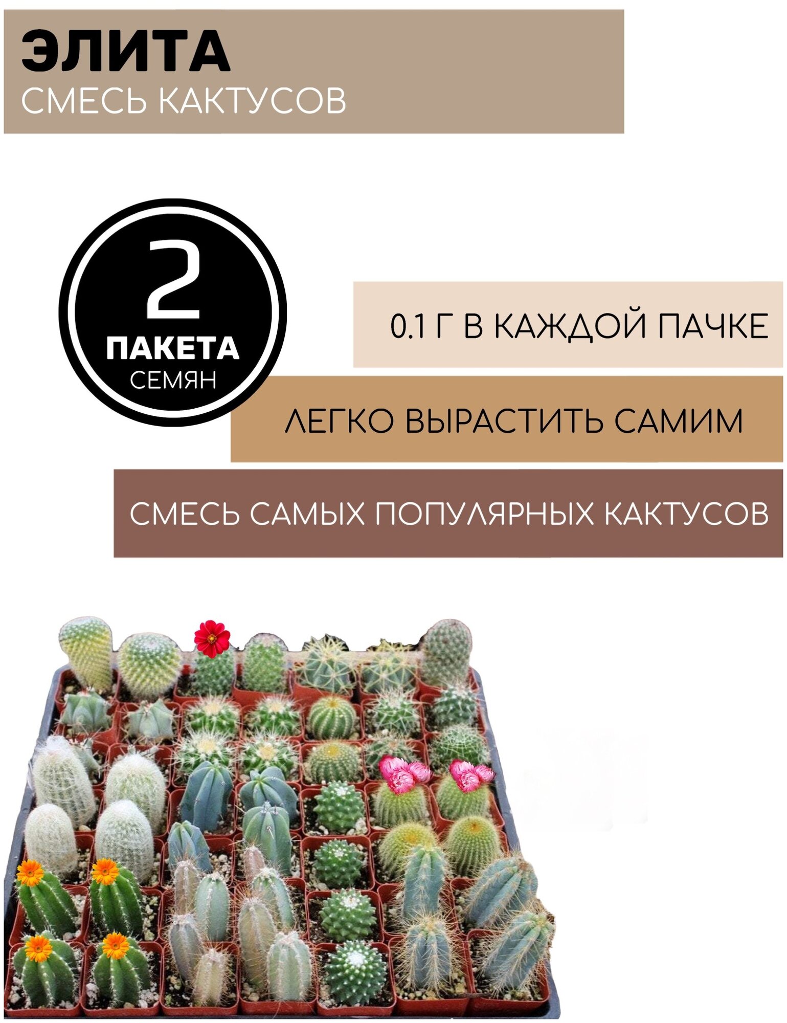 Цветы Кактусы смесь Элита 2 пакета по 0,1г семян