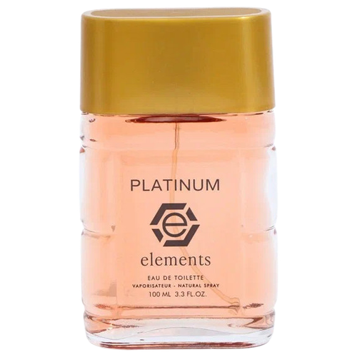 TODAY PARFUM Туалетная вода мужская Platinum Elements, 100 мл