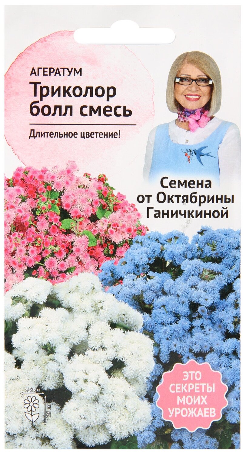 Агератум Октябрина Ганичкина - фото №1