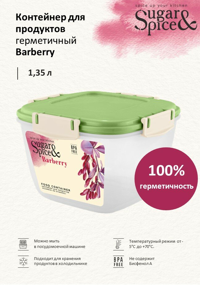 Контейнер для обеда Barberry SE224410, 16,5x16,5, фисташка Sugar & Spice