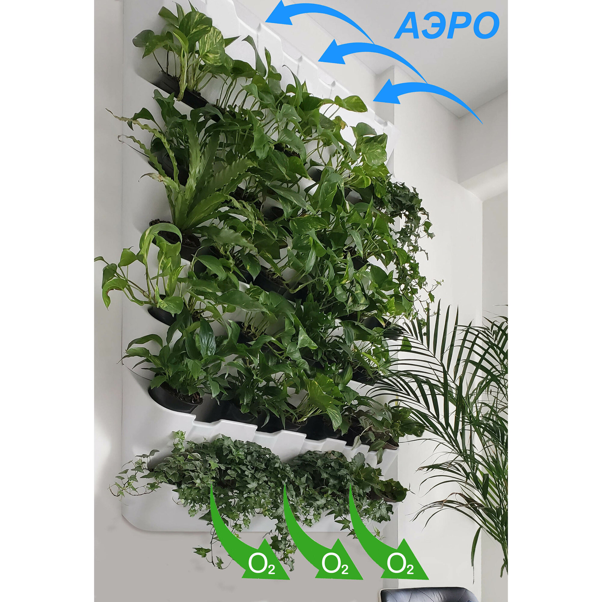 Фитомодуль 