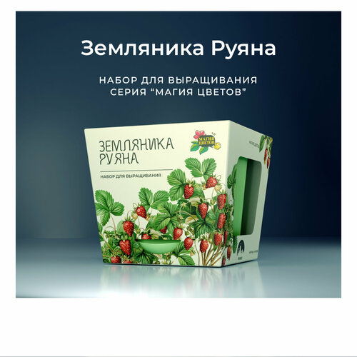 Земляника Руяна Набор для выращивания от бренда 
