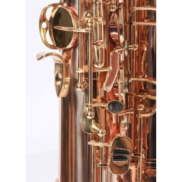 Саксофон Pierre Cesar JBTS-1010L — фото 1